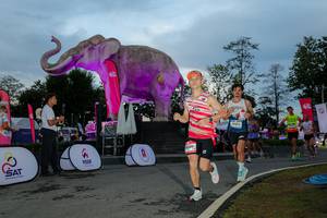 BIB: 
                            <button type="button" onclick="openModal(26529509)" class="btn btn-primary btn-sm float-right btn-popup" data-toggle="modal" data-target=".modal-high-quality">
                        <i class="fas fa-shopping-cart"></i> Add to Cart
                    </button>
                                            <button type="button" onclick="isThisMe(26529509, true)" class="btn btn-success btn-sm float-right btn-popup btn-isme hidden" data-toggle="tooltip" data-placement="bottom" title="นี่คือรูปของคุณใช่ไหม คลิกที่นี่เพื่อเอาเข้าอัลบั้ม">
                        <i class="fas fa-plus"></i> Add to album
                    </button>
                    <button type="button" onclick="isThisMe(26529509, false)" class="btn btn-warning btn-sm float-right btn-popup btn-isnotme hidden">
                        <i class="fas fa-ban"></i> Remove from album
                    </button>